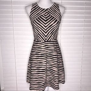 Xhilaration Black & Tan/Cream A-line Striped Dress